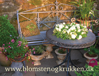 Blomsten & Krukken, køb stauder online